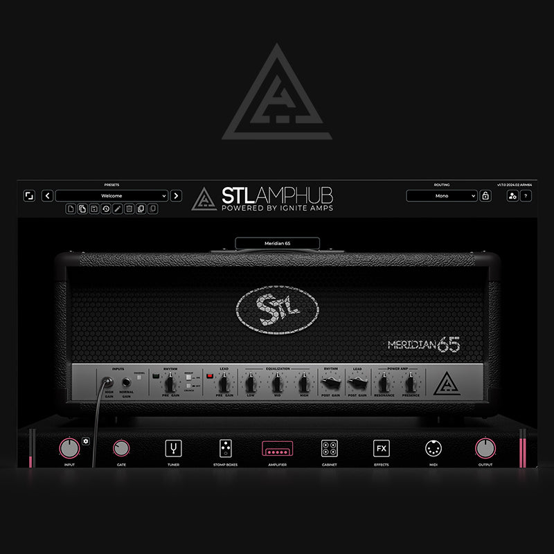 AmpHub - Meridian 65 Model