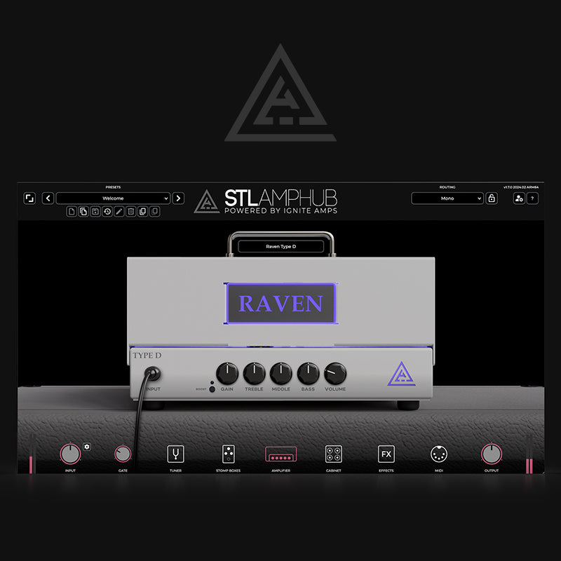 AmpHub - Raven Type D Model